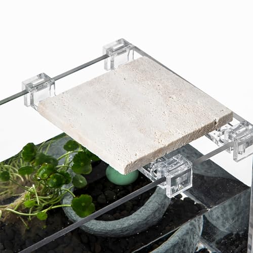 10pcs Aquarium Lid Support Bracket Fish Cover Holder Stand Fishtanks Cover Support Clamp Clips, Suitable for 5mm