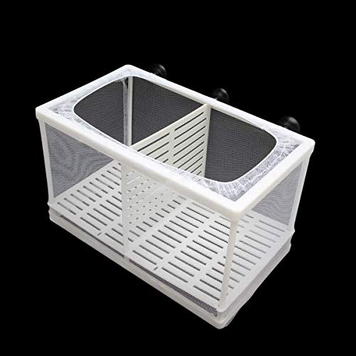 Aquarium Fish Breeder Box Fish Fry Hatchery Incubator Net Nylon Isolation Mesh with 3pcs Pipette (Large) - size: Large