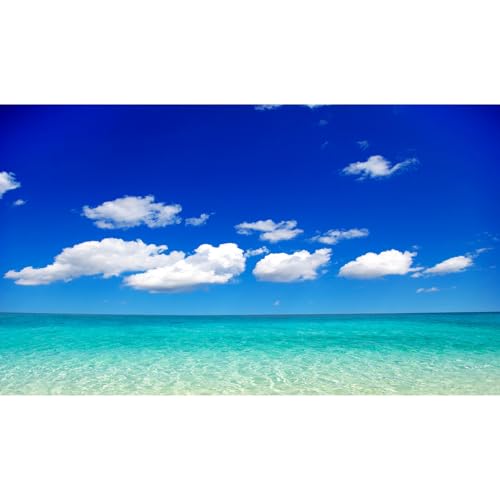 Ocean Sea Fish Tank Background Tropical Paradise Ocean Aquarium Background Sunny Seascape Terrarium Backgrounds Sunny Blue Sky Cloudy Seacoast Sandbeach Sea Waves Reptile Tank Backgrounds 24x12in - color: Aqua Blue, size: 24(W)x12(H)inches/ 60(W)*30cm(H)