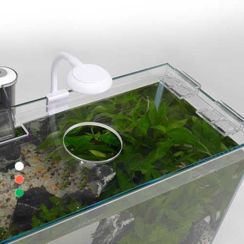 5 Gallon Glass Small Fish Tank with Filter Light and Lid, Betta Aquarium Starter Kits - size: 5 Gallon