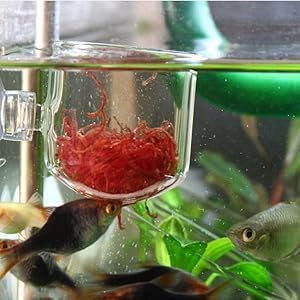 Aquarium Feeder, Transparent Suction Cup Fishes Feeding Cup Food Container for Feeding Shrimp Fish(Glass Hole Cup)
