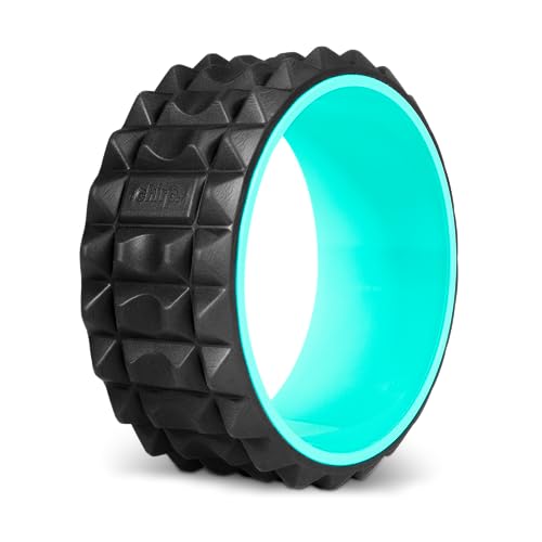 Chirp Wheel XR 10" Acupressure Back Roller for Muscle Relief, Mint | Acupressure Back Roller, Spinal Traction Wheel, Foam Roller for Trigger Points, Deep Tissue Back Massager, 10 Inch - size: 10 Inch Mint