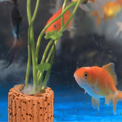 50 Pcs Aquatic Water Plant Fixed Rings, Ceramic Aquarium Plant Holder Weights Aquarium Landscape Cultivation Fixed Cup Pottery Plants Pot Gravity Ring for Fish Tank Accessories