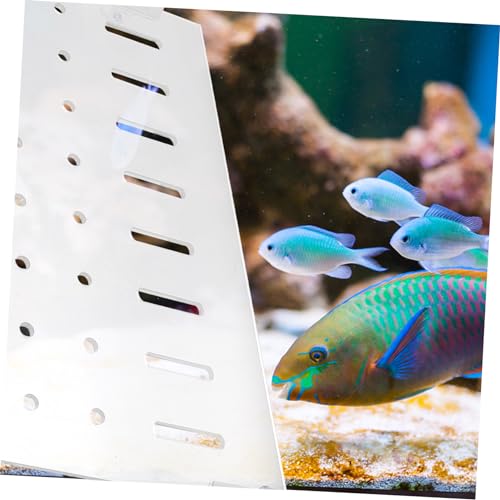 POPETPOP 1set Plate for Aquariums Segregation Board Fixed Clips Fish Divider for Fry Safety and Easy to Install for Fish Tank Separation