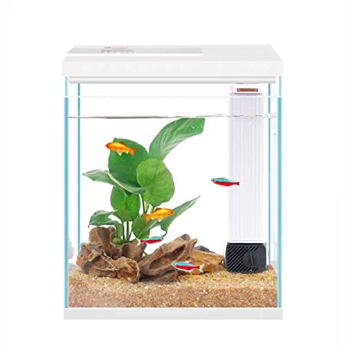 Betta Fish Tank, 2 Gallon Glass Aquarium Starter Kit, Small Fish Tank with Filter and Light.(White) - color: White, size: 2 Gallon