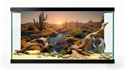 3 Pack Terrarium Background 48x24 inches Fabric Terrarium Reptile Background Stream Gobi Cactus Green Leaves Jungle Forest Desert Fern Terrarium Background - size: 48X24inch