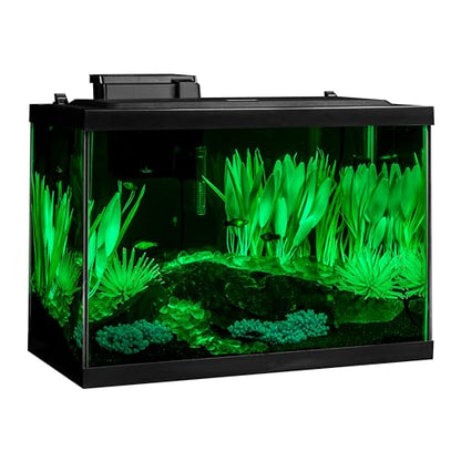 Tetra ColorFusion Aquarium 20 Gallon Fish Tank Kit, Includes LED Lighting and Decor