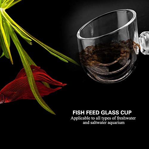Aquarium Feeder Live Red Feeding Cone Cup Transparent Acrylic Fish Shrimp Feeder Crystal Glass Plant Feeding Container Holder with Suction Cups
