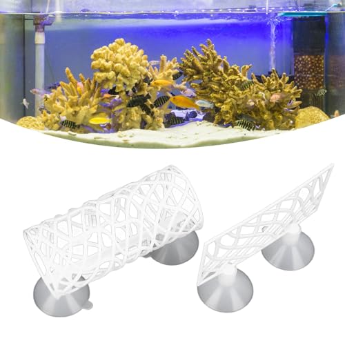 Asixxsix Betta Fish Tunnel, Hollow Design Betta Sleeping Tube Betta Tunnel Swim Tube, Shrimp Guppies Hideout Betta Shelter Toys, Betta Fish Accessories Decorations (White)