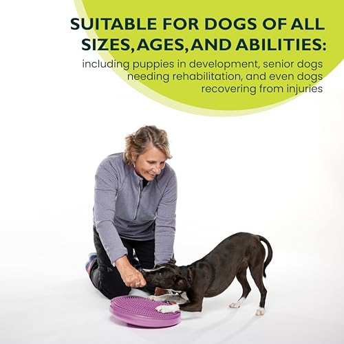 FitPaws® Dog Balance Disc, Exercise Equipment, Rehabilitation + Training, - color: Razzleberry, size: 14"