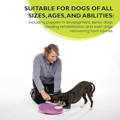 FitPaws® Dog Balance Disc, Exercise Equipment, Rehabilitation + Training, - color: Razzleberry, size: 14"