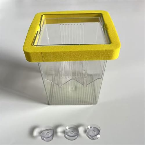 Baby Fish Breeding Box Clear Isolation Aquarium Hatchery Incubator with Suction Cups for Newborns Shrimp Fish Hatchery