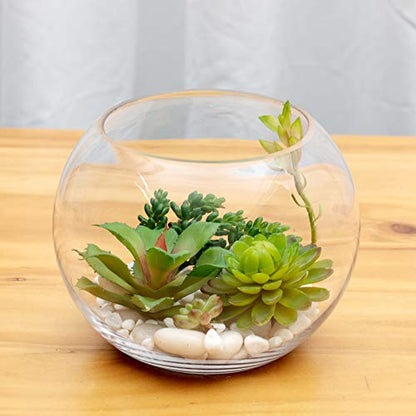 WGV Bowl Glass Vase, Diameter 10", Height 8", Open Width 6", (Multiple Sizes Choices) Clear Bubble Planter Terrarium Fish Bowl for Wedding Event Home Decor, 1 Piece (VBW0010) - size: 10"D 1 Piece