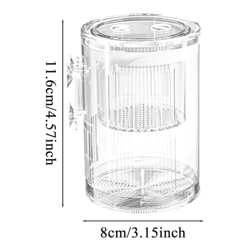 Breeder Box for Fish Tank – Mini Aquarium Isolation Container, Clear Acrylic Hatchery with Suction Mount, Acclimation and Observation Tool | Ideal Breeding Fry, Small Fish, Shrimp, Betta, Tropical