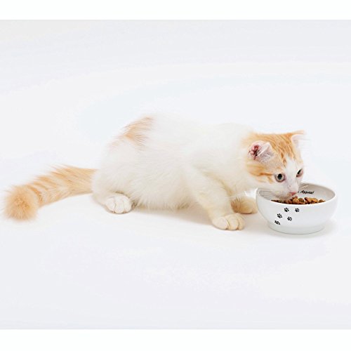 Necoichi Cat Food Bowl & Water Bowl - Shallow Wide Cute Cats Dish - Prevents Neck & Whisker Fatigue - Dishwasher & Microwave Safe - No Spill Ceramic Cat Bowl for Indoor Cats & Kittens (Paw Style) - color: Cat-