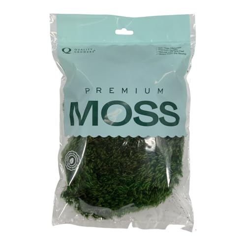Preserved Mood Moss - Decorative Moss - Dried Moss for Crafts, Home Decor, Art, Design & DIY Projects - for Indoor Use - Natural Green - Medium Size - color: Mood Moss, size: Medium