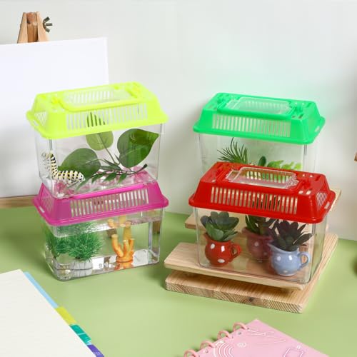 Healeved 4pcs Portable Turtle Feeding Box Mini Plastic Fish Tank Transparent Terrarium Aquarium Reptile Habitat Goldfish Living Boxes 15x9. 5x11cm