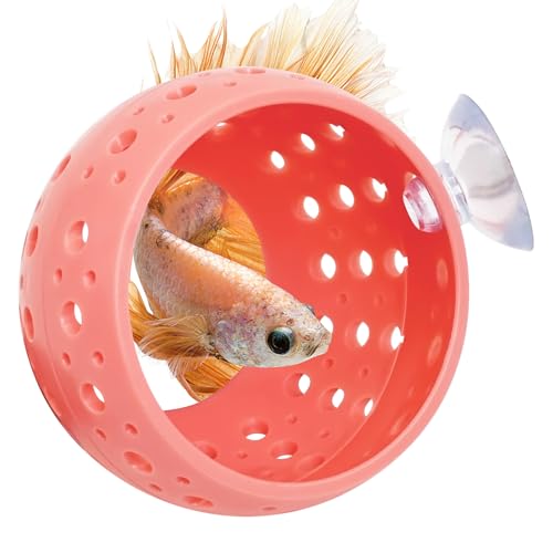 Fhiny Betta Tunnel, Aquarium Betta Fish Hideout with Suction Cup Fish Tank Tunnel Shrimp Cave Aquarium Decor Fish Tank Accessories for Small Fish Shrimp Betta Guppy Hiding Resting (Orange)