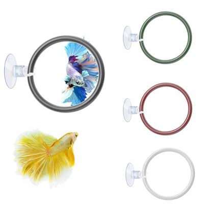 4 PCS Betta Fish Exercise Ring, Soft Silicone Betta Training Loop with Suction Cup, Aquarium Feeding Rings Fish Enrichment Toys, ID 50 mm (Red, Green, White, Black)
