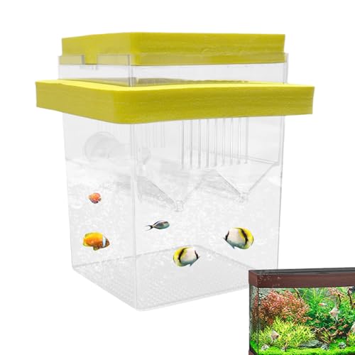 Aquarium Breeder Box – Fish Breeding Tank Box, Floating Fish Isolation Box With Suction Cups, Fish Egg Hatching Box For guppiess & Betta, Small Fish Breeder Tank, Fish Hatchery Box For Aquariums