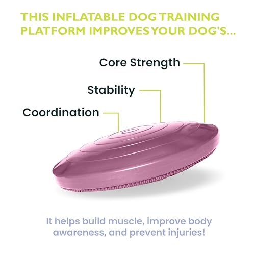 FitPaws® Dog Balance Disc, Exercise Equipment, Rehabilitation + Training, - color: Razzleberry, size: 14"