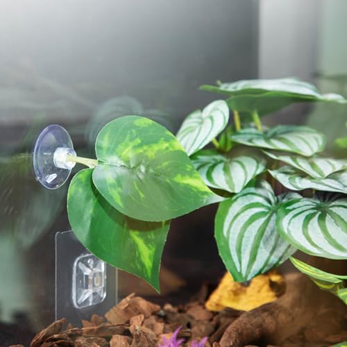 Suction Cup Pad Resting Bed for Bettas Fish Hammock Fishtanks Spawning Ground Aquariums Breeding Supply Fishtanks Ornament