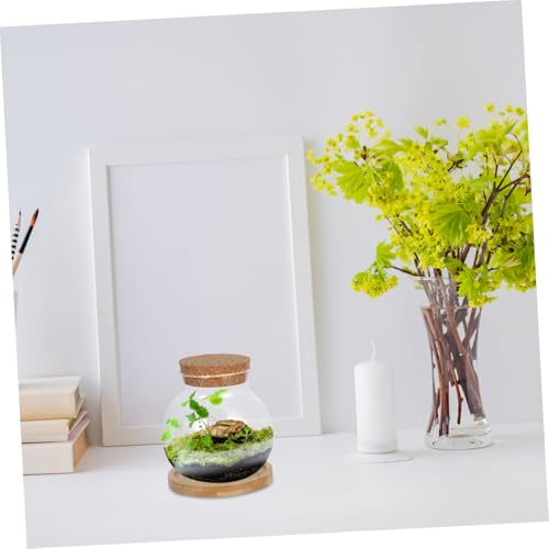 MAGICLULU 2Set Hydroponic Plant Vases Small Glass Betta Tanks with Lid and Mat for Desktop Decoration for Plant Lovers and Home Office Decor
