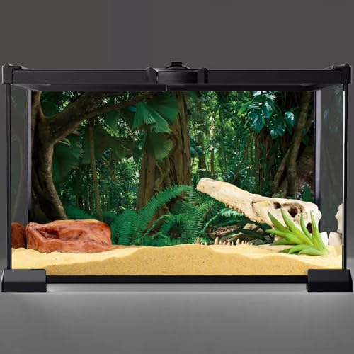 AWERT 24x12 inches Tropical Rainforest Terrarium Background Stone Green Huge Tree Reptile Habitat Background Polyester Tropical Rainforest Aquarium Background - size: 24x12in/60x30cm