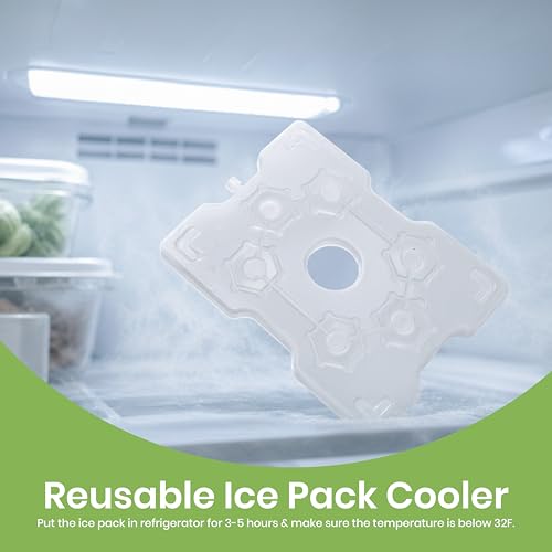 Portable Snackle Box Container with Ice Pack – 8-Compartment Snack Tray with Lid, Divided Serving Tray & Drain Trays, Ideal Charcuterie Snack Cooler for Picnic, Travel & Parties