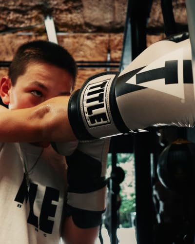 Title Boxing World Bag Boxing Gloves - color: Navy/Grey/White, size: 14 oz