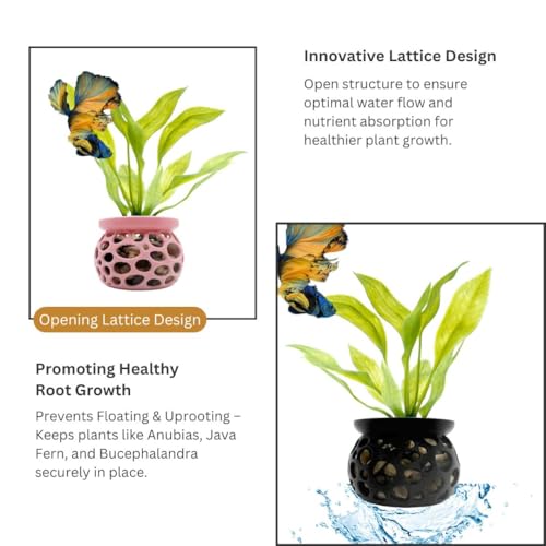 Aquarium Plant Pot Holders, 2 Plant Pot Holders, Securely Hold Aquatic Plants, Promoting Healthy Root Growth, Fish Tank Aesthetic, Black & Pink, 2.7" D x 2" H (Pack of 2)