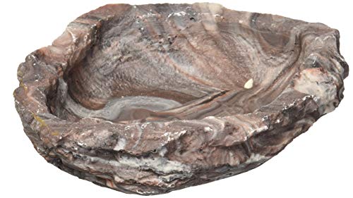 Fluker's Repta Bowl, Food and Water Bowl for Reptiles and Small Animals, Medium 6"