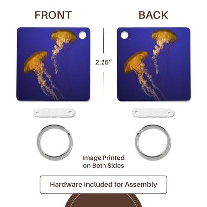 3dRose, California, Sea nettles at Monterey Bay Aquarium - US05 BJA0126 - Jaynes Gallery, Key Chain - size: set of 2 Key Chains