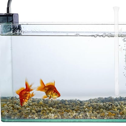 Aquarium Feeder Tube and Shrimp Feeding Dish Glass 40cm Fish Feed Tool for Aquarium Accessories Suitable for Fish and Shrimp
