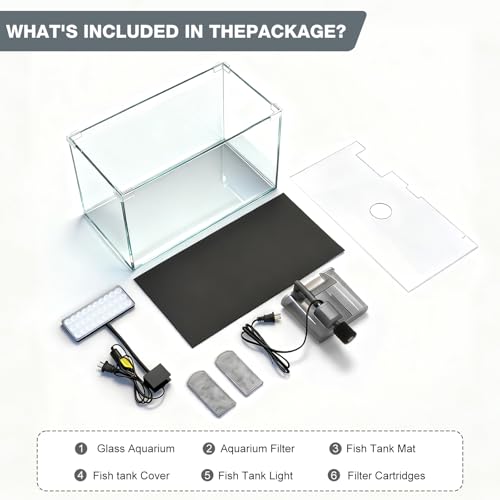 10 Gallon Glass Small Fish Tank with Filter Light and Lid, Aquarium Starter Kit - size: 10 Gallon
