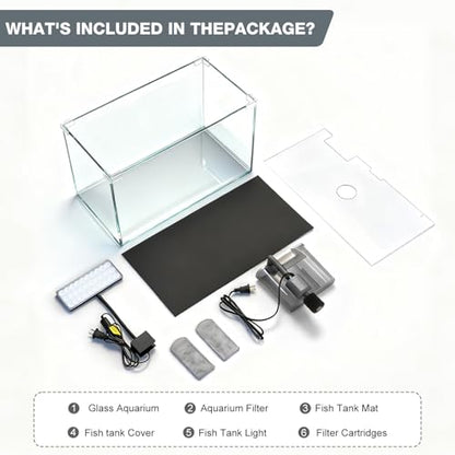 10 Gallon Glass Small Fish Tank with Filter Light and Lid, Aquarium Starter Kit - size: 10 Gallon