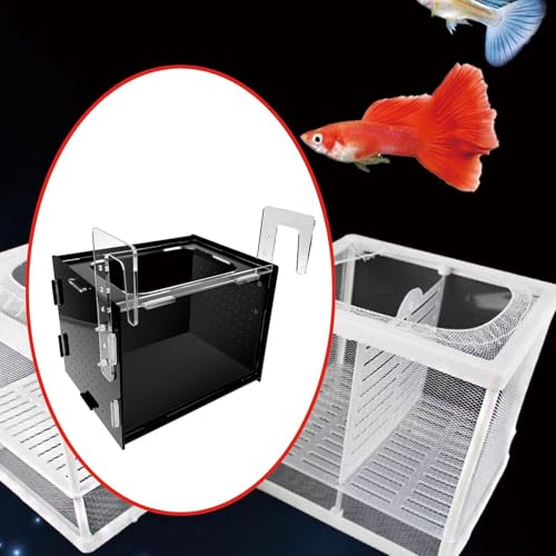 Fish Breeding Box Hatchery Sturdy Clear Acrylic Separation Incubator Isolation Box for Clownfish Betta Baby Fish Guppy, 30x20x20cm - size: 30x20x20cm