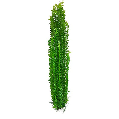 Jumbo Aquarium or Pond Artificial Plant Bright Green, Stands Over 3 Feet (100 cm) Tall with Heavy Base Bushy Foliage, Extra Long Plastic Seaweed Aquascaping Decoration