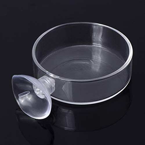 Aquarium Shrimp Feeding Dish with Suction Cup High Transparent Glass Bottom Feeder Food Bowl 2.4x0.7 Inch Round Tray Glass