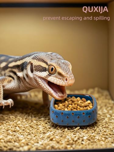 2-Pcs Ceramic Reptile Food Bowl, Mini Reptile Feeder (Farmhouse Blue) - color: Farmhouse Blue