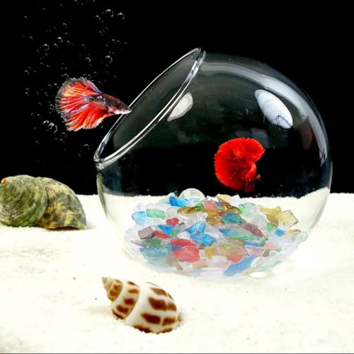 Glass Aquarium Betta Fish Shrimp Hammock Cave with Colorful Crystal Stones, Clear Aquarium Hiding Feeding Fish Tank Decorative Accessories