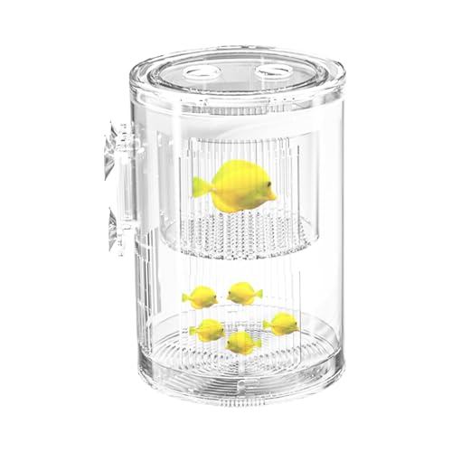 Breeder Box for Fish Tank – Mini Aquarium Isolation Container, Clear Acrylic Hatchery with Suction Mount, Acclimation and Observation Tool | Ideal Breeding Fry, Small Fish, Shrimp, Betta, Tropical