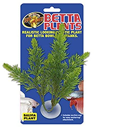 Zoo Med Laboratories AZMBP23 Betta Plant Salvia