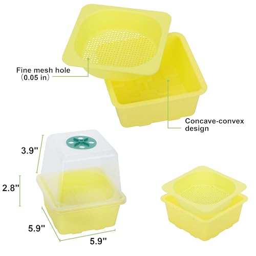Microgreen Growing Trays, 5" x 5" Sprouting Tray with Humidity Dome, 1.2 mm Small Mesh Holes, BPA Free, Sprouter Kit for Growing Mirco Seeds, Like Broccoli, Alfalfa, Radish, Clover - 4 Pack | Colorful - color: Colorful Base