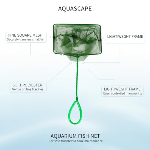Green Square Mesh Aquarium Net for Fish Transfer and Tank Cleaning - size: 17.52 x 7.87 x 5.91"