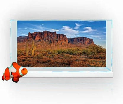 36X24IN Desert Rock High Mountain Cactus Oasis Reptile Habitat Background, Natural Blue Sky Sun Desert Themed Terrarium Background, Aquarium Background with 10 EVA Double-Sided Tape ﻿ - size: 36X24in/90X60cm