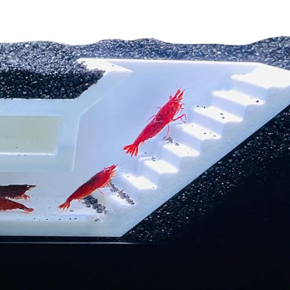 Shrimp Cave Underground Maze Tunnel | Viewing Shrimp Freshwater Hide Tunnel | Aquarium Shrimp Breeding Cave Perfect for Small Shrimp, Cherry Shrimp, Dwarf Shrimp (White) - color: White