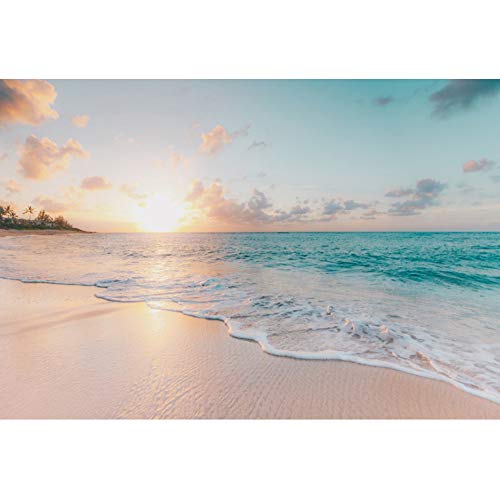 3x2m Sea Beach Backdrop Seaside Beach Sunrise Sea Wave Outdoor Scenery Wedding Photography Backdrops for Photo Shoots Party Adult Personal Portrait Photo Background Studio Props