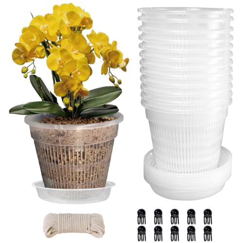 Orchid Pot,12 Pack 5.5Inch Clear Plastic Orchid Pots with Saucers, Orchid Pots with Holes, Orchid Breathable Slotted Pot(12Pcs 5.5in+ Saucers) - color: 12pcs 5.5in + Saucers