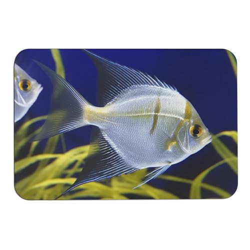 Outdoor Door Mat 15.7" X 23.6" Non-Slip Doormat Aquarium Angelfish Front Door Mats Quick Dry Welcome Mats for Outdoor Indoor Entrance Mat Home Decor Floor Mats for Patio - color: Aquarium Angelfish